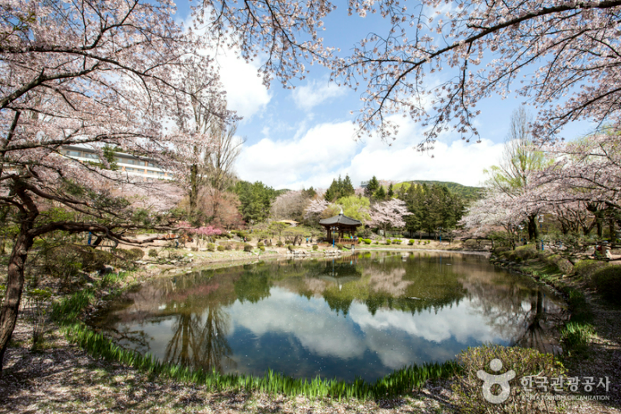 경주-보문정