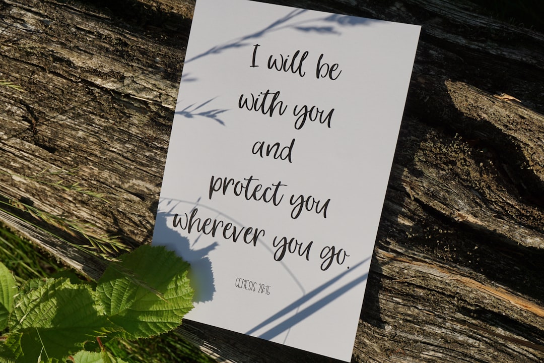 Promise