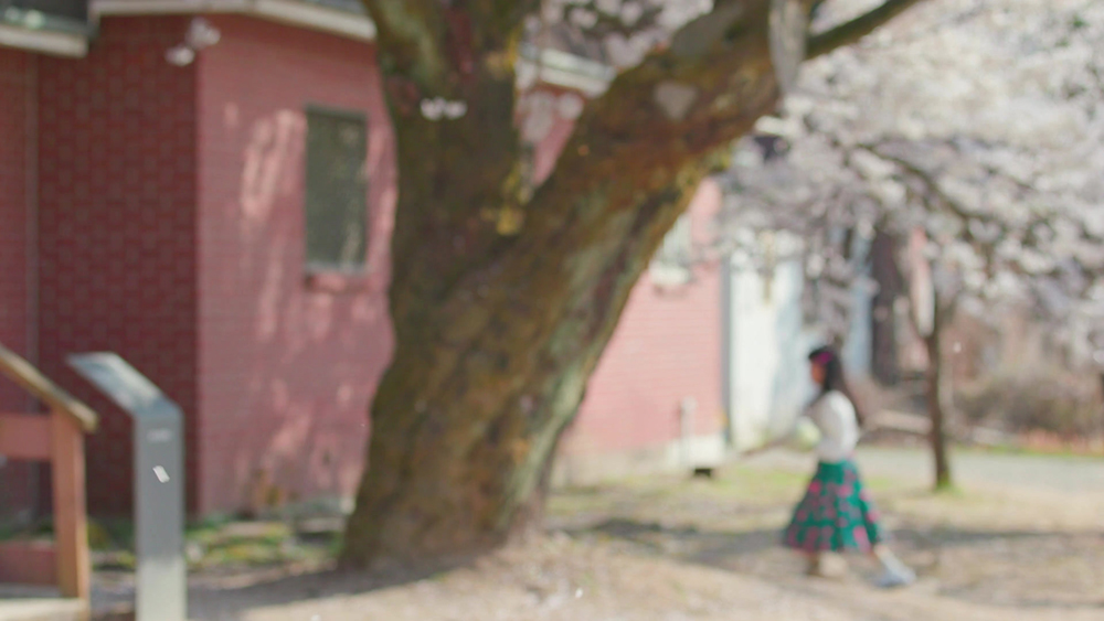 2025 벚꽃 개화시기