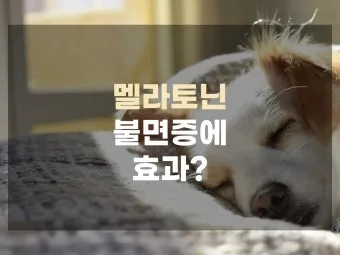 식물성 멜라토닌 효능_24