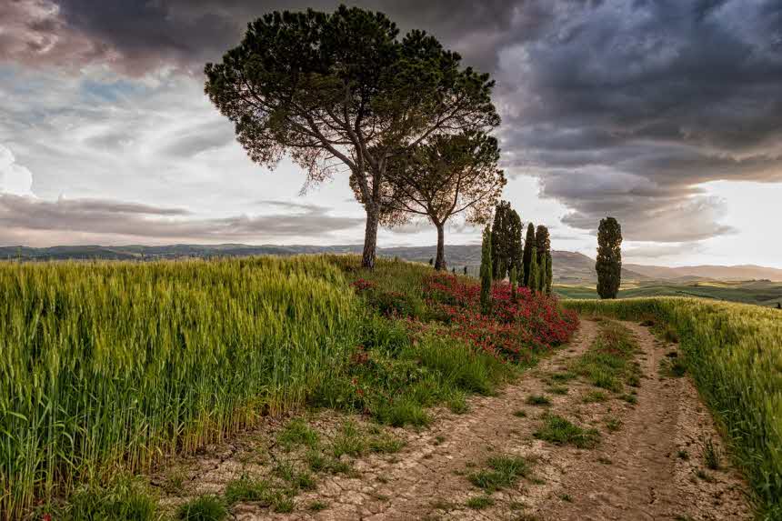 상해보험, 예기치 못한 사고에 대비하는 필수 보험