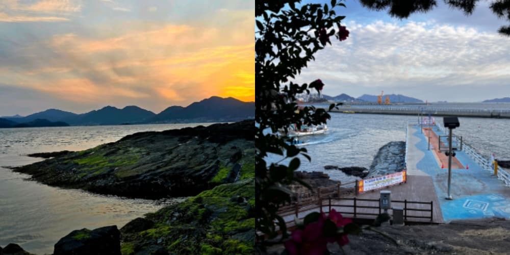 생생정보통 오늘방송(2월 26일) 맛집 삼천포맛집정서방,노산공원,사천바다케이블카,아라마루아쿠아리움,사천아이