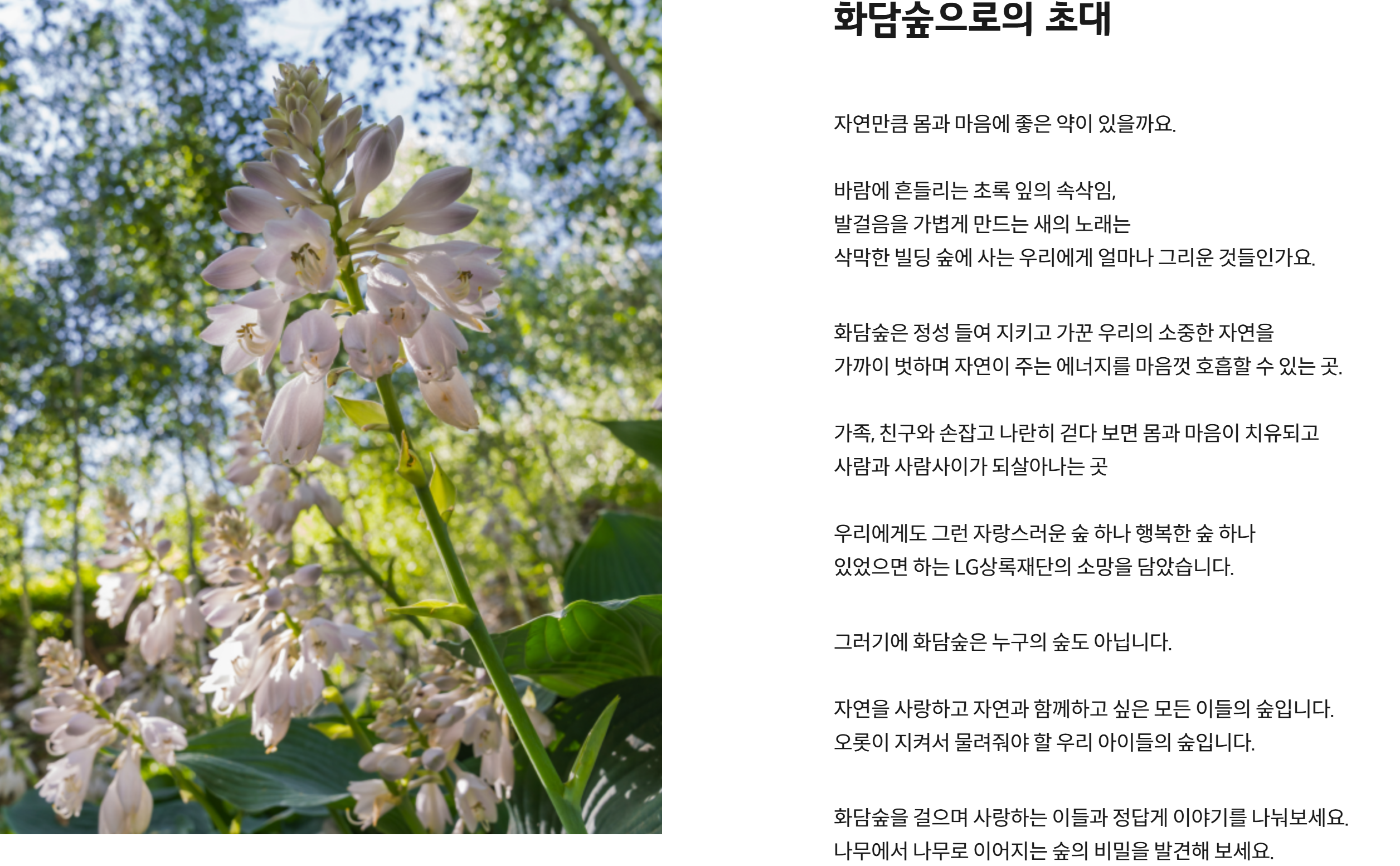 곤지암 화담숲 200% 즐기기: 예약, 모노레일, 가격, 주차 완벽 가이드