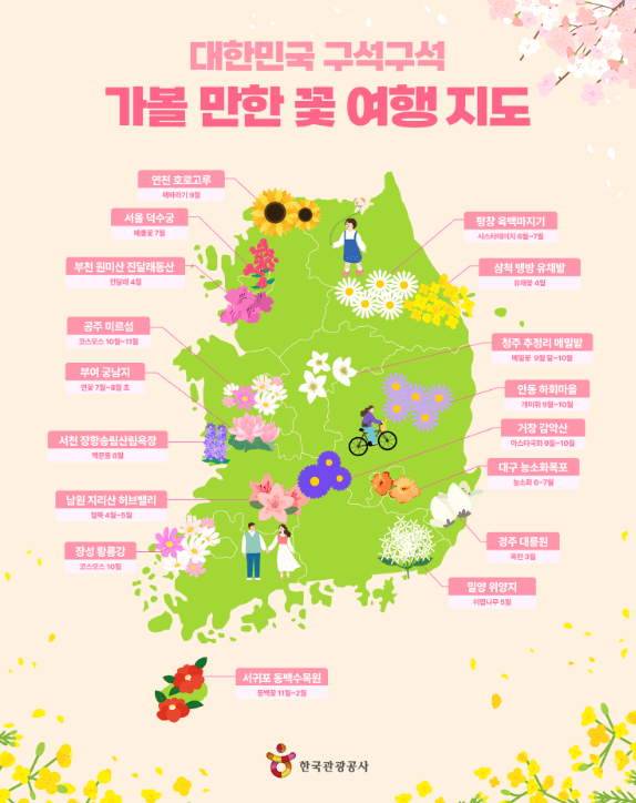 2024년 벚꽃 개화시기 만개시기 꽃세권 꽃놀이 꽃구경 (개나리, 진달래 개화시기)