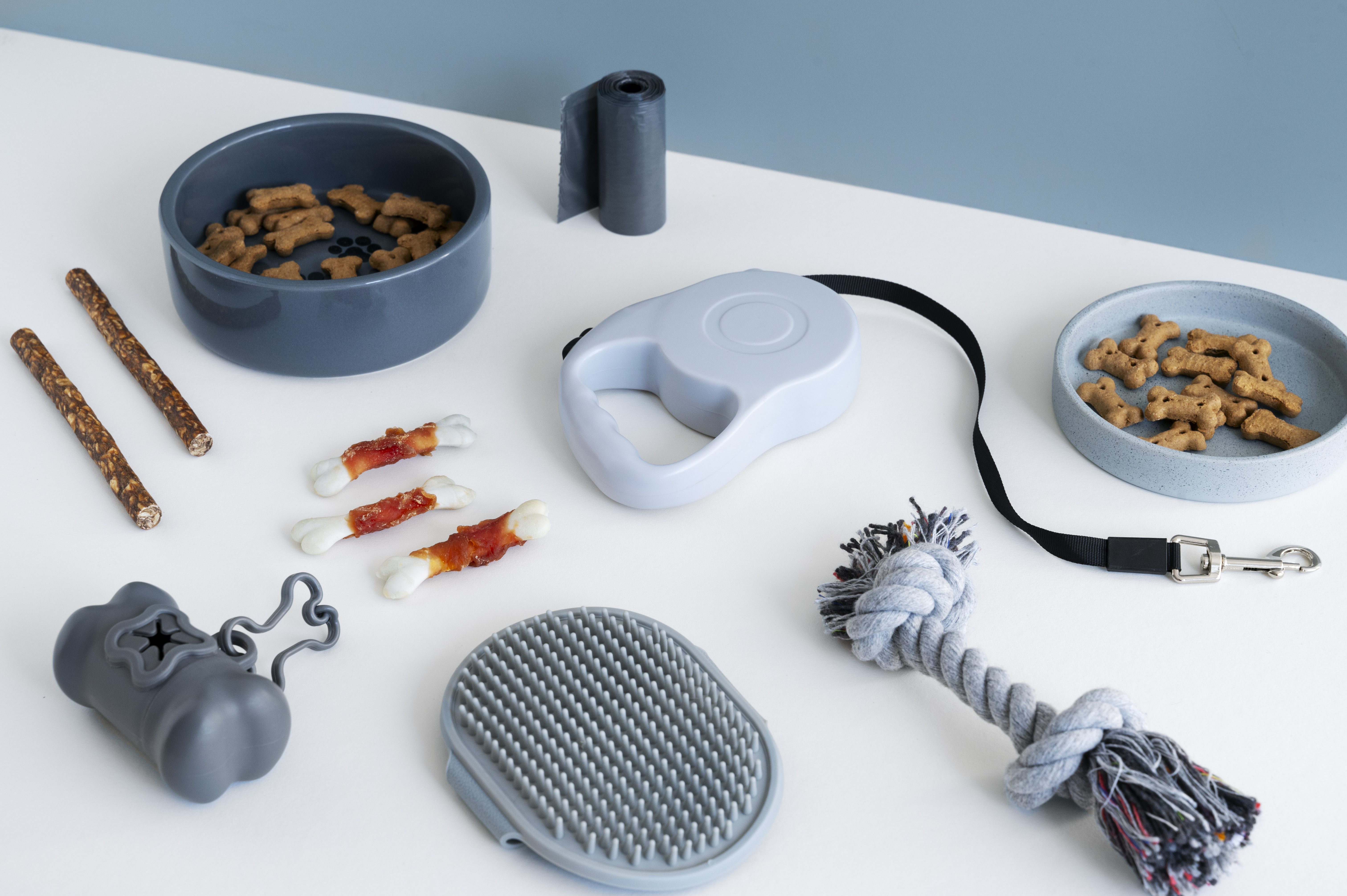 반려동물 필수템