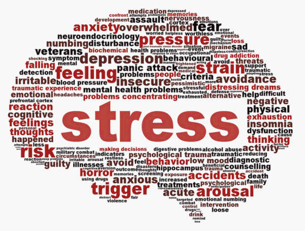 스트레스와 면역