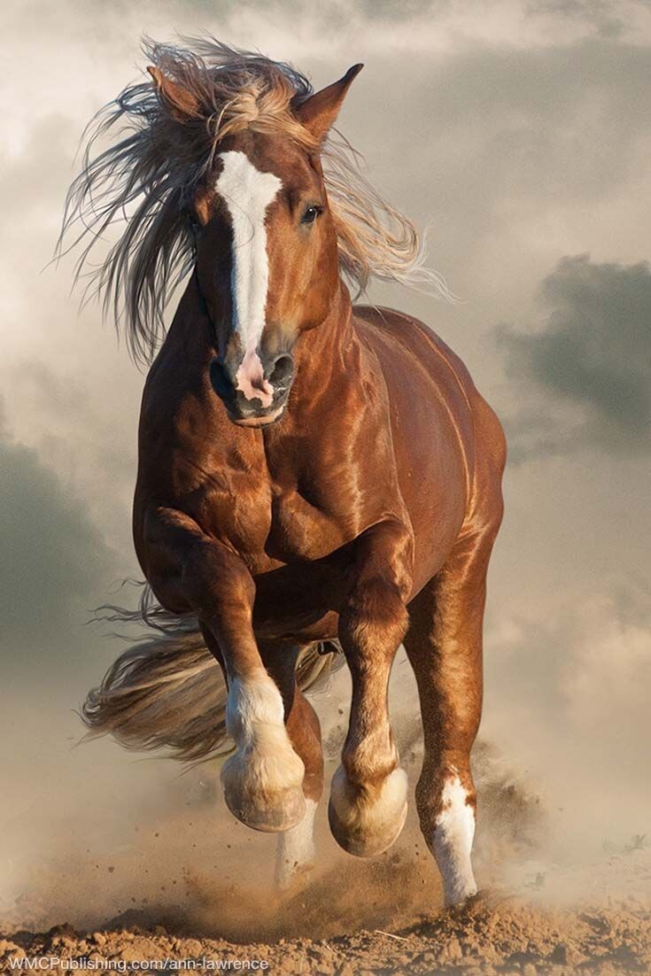 오늘의-운세-2023년-12월-22일-오늘의-띠별-운세