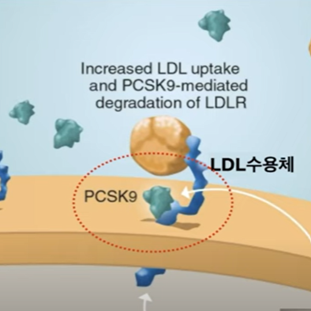  PCSK9 억제제 