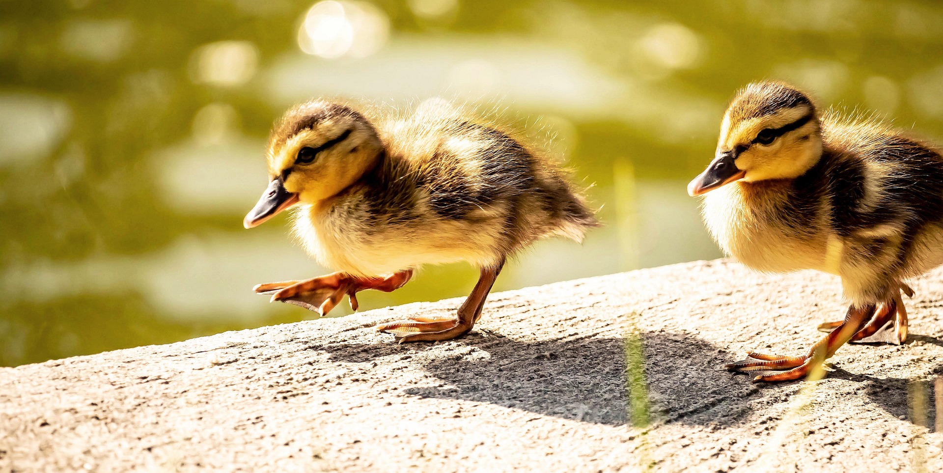 하루 10분 걷기만으로도 몸이 유지되는 이유
