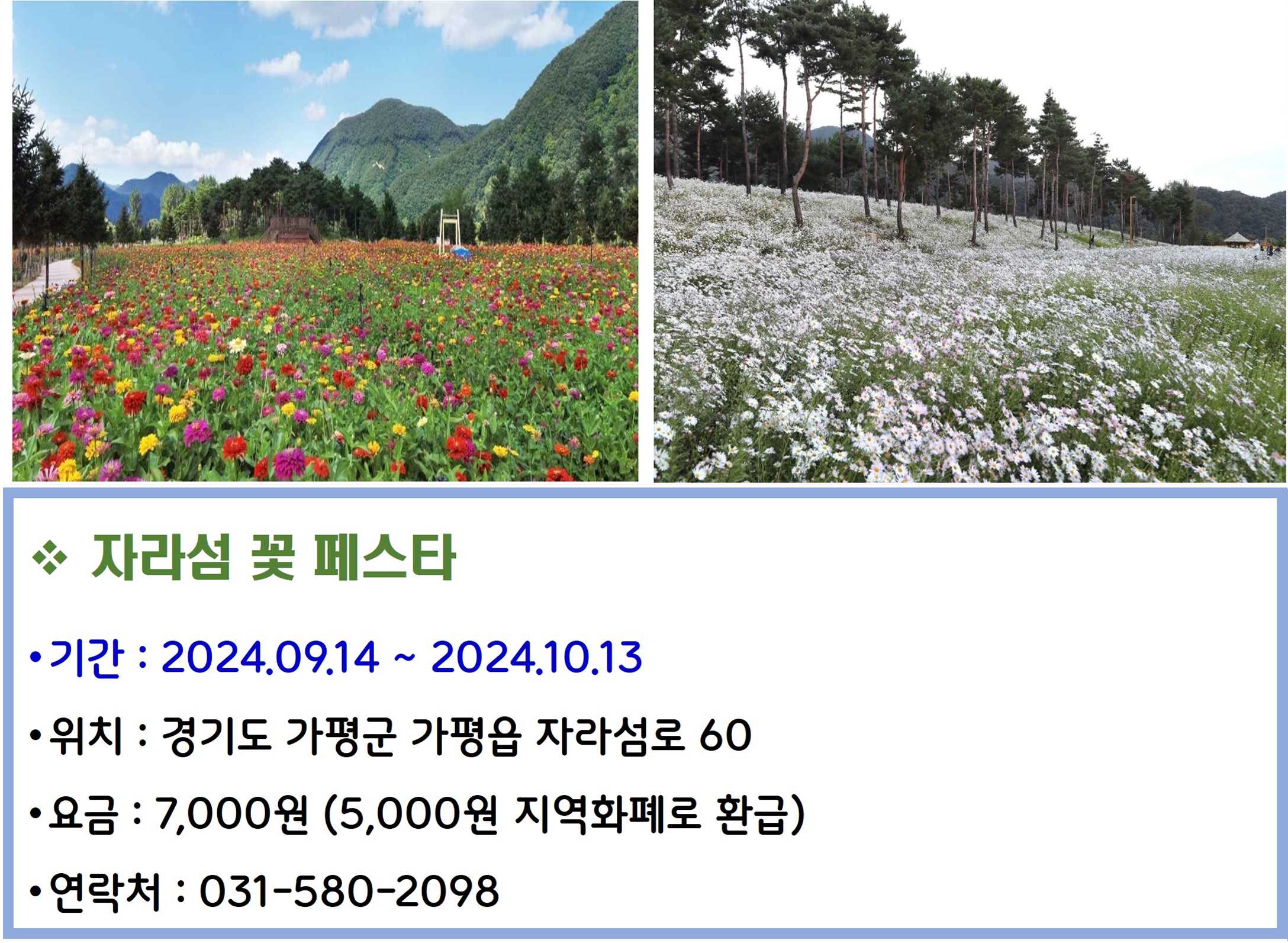 자라섬 꽃 페스타