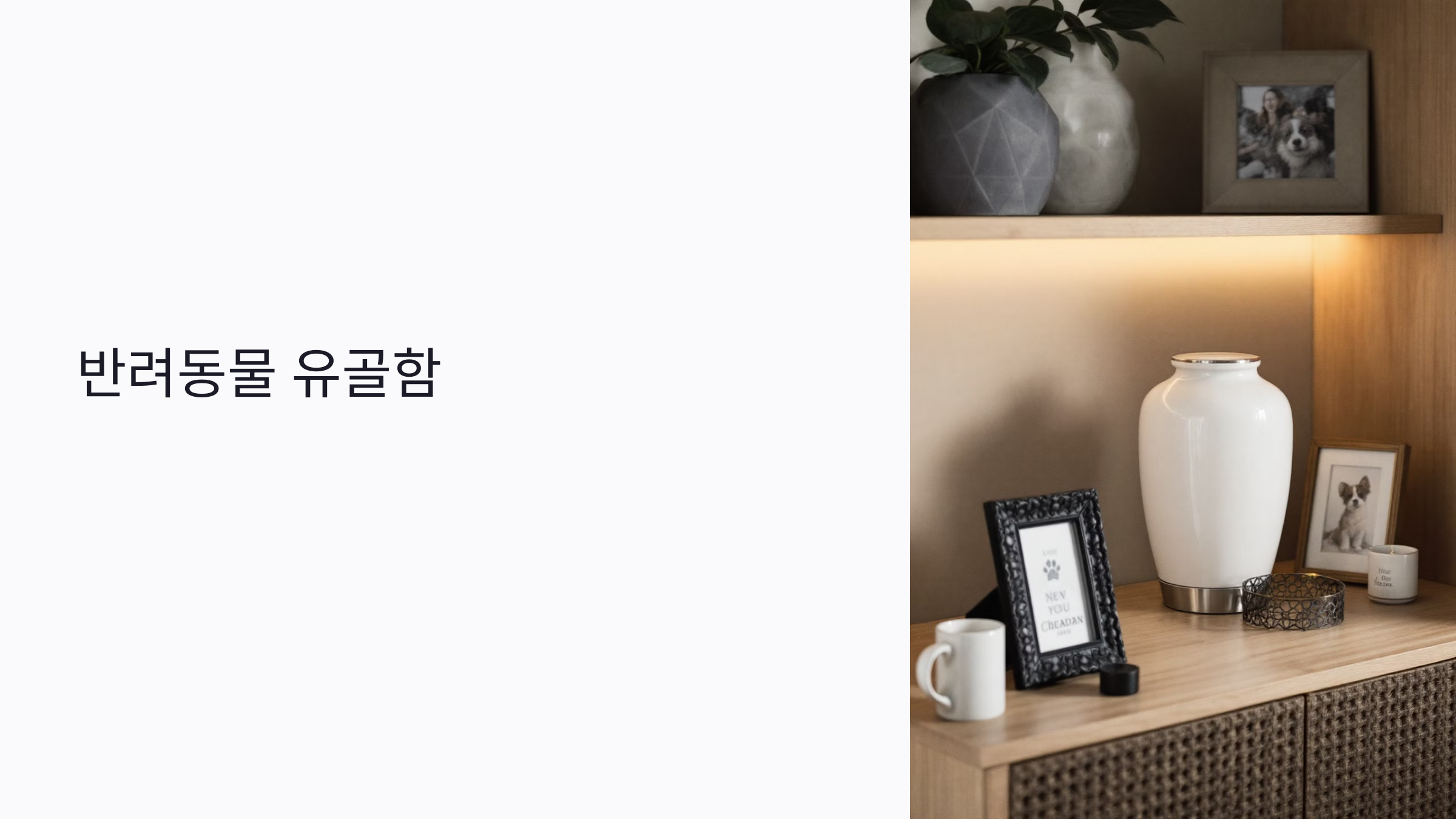 반려동물 유골함 고를 때 흔히 하는 5가지 실수와 선택 가이드(2025)