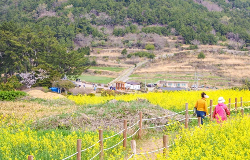청산도
