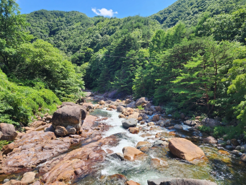 소막골야영장