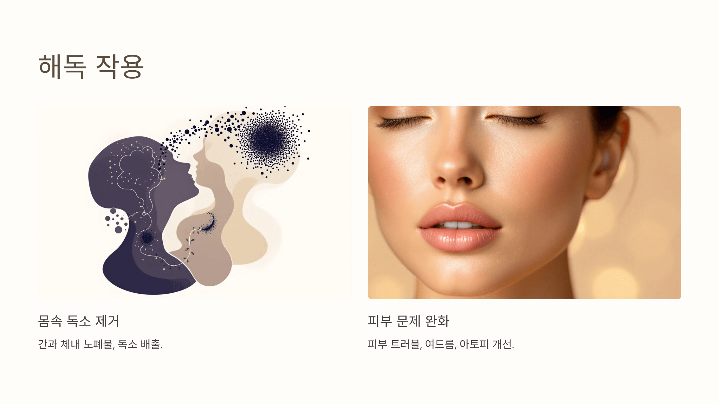 벌나무와 관련된 사진입니다.