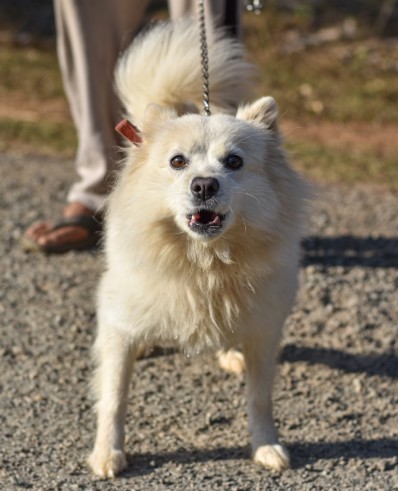 우리 아이는 왜 화가 났을까