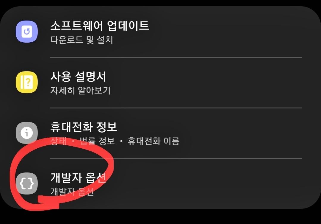 개발자 옵션 버튼