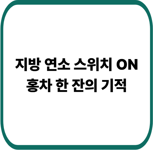 홍차 다이어트 효과 있을까 : 카페인 함량, 녹차 차이 비교 분석