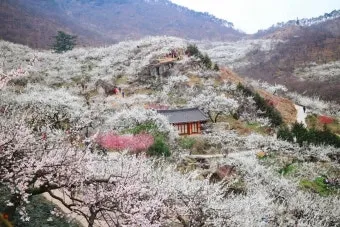 광양 가볼만한곳 추천 맛집 카페 실내 BEST 10_29