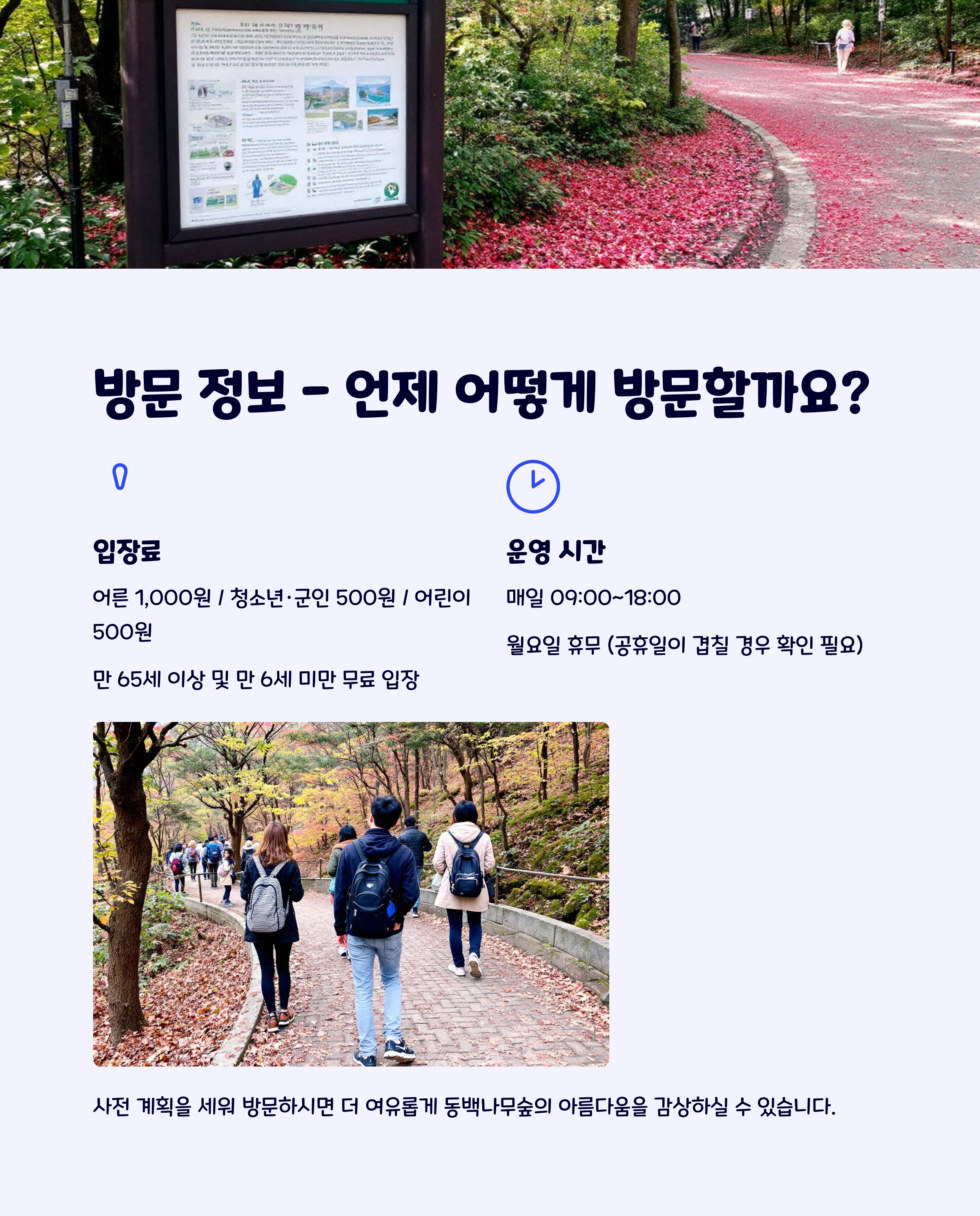 동백꽃추천