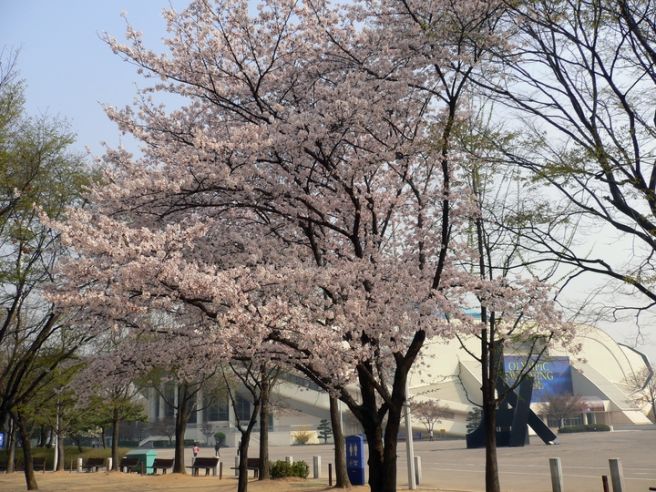 일본 가족여행 추천