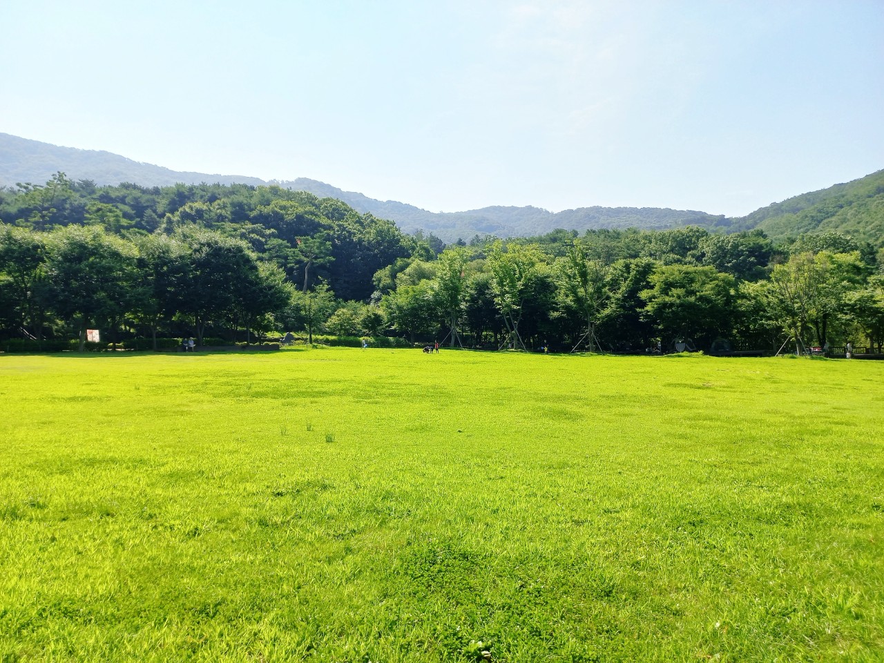 유명산 자연휴양림
