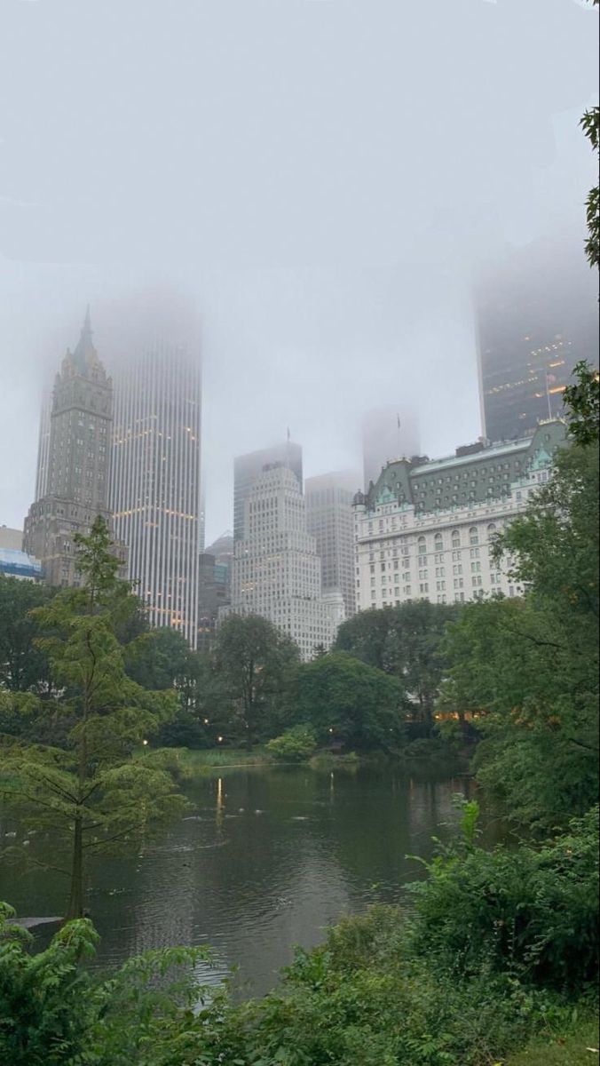 콘크리트 정글의 역설: 녹지 부족이 기온에 미치는 영향