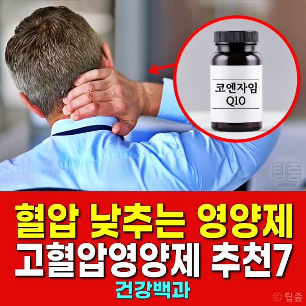 혈압 낮추는 영양제 고혈압영양제 추천