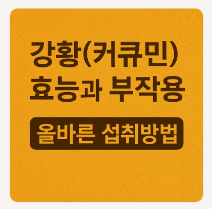 강황(커큐민) 효능과 부작용, 올바른 섭취방법