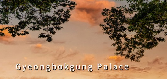 경복궁 야간개장 인터넷예매