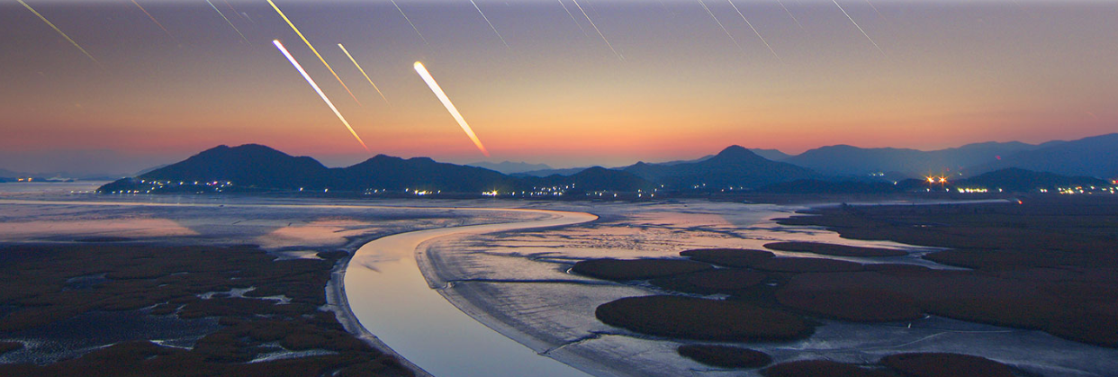 순천만습지 이미지