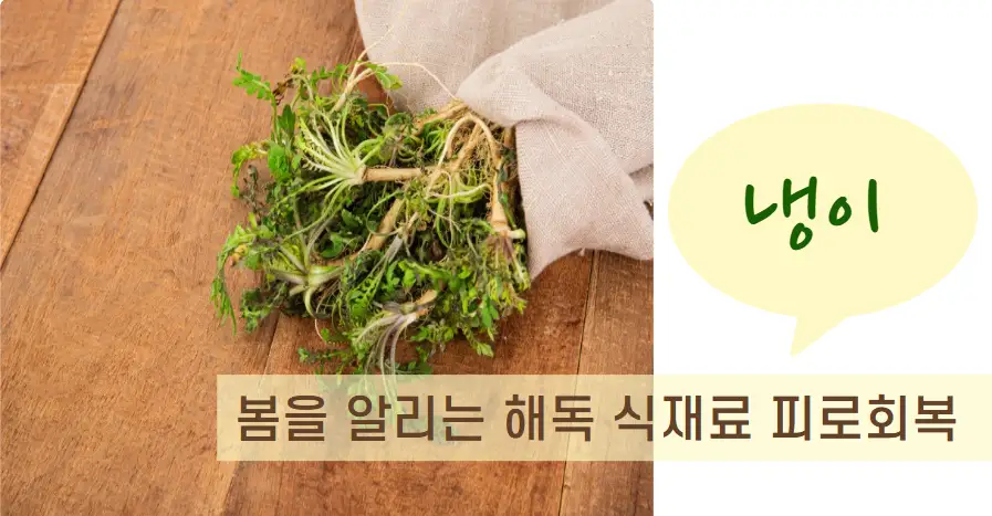 냉이 &ndash; 봄을 알리는 해독 식재료