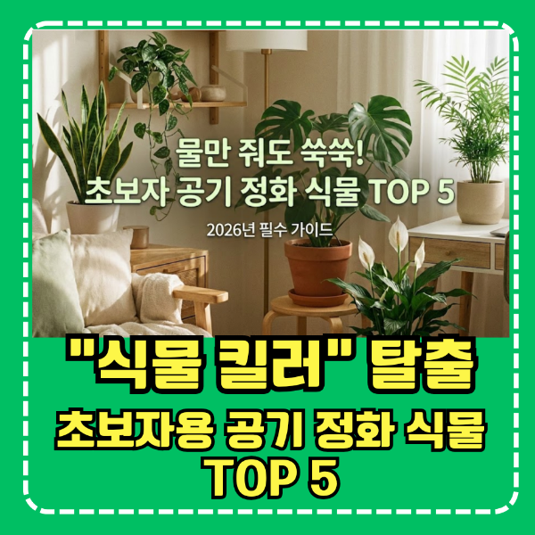 "식물 킬러" 탈출! 초보자용 공기 정화 식물 TOP 5