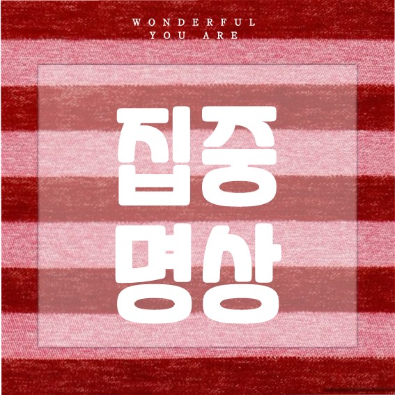 집중 명상 완벽 정리: 방법과 백색소음 추천