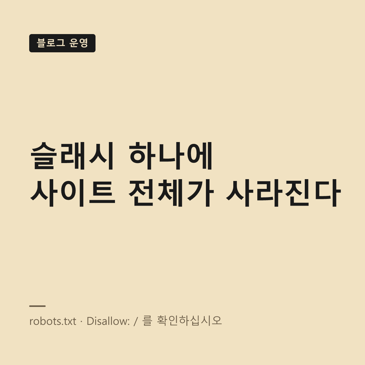 robots.txt 작성과 확인 대표 이미지