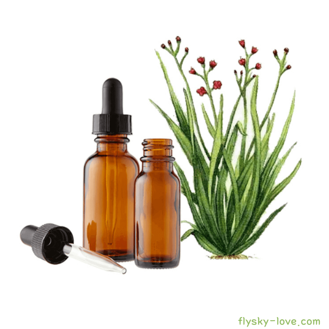 팔마로사 (Palmarosa), 팔마로사 오일