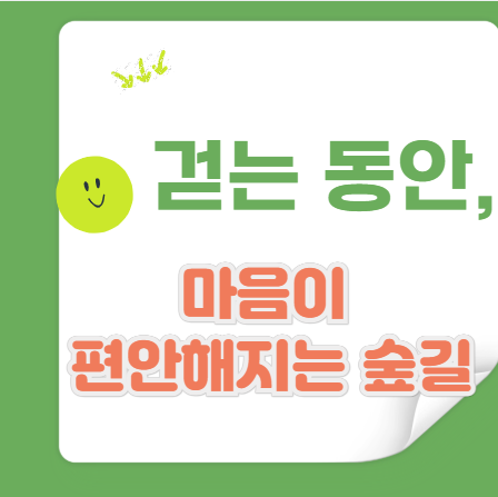 가을이면 찾는 이곳, 오대산 월정사 전나무 숲