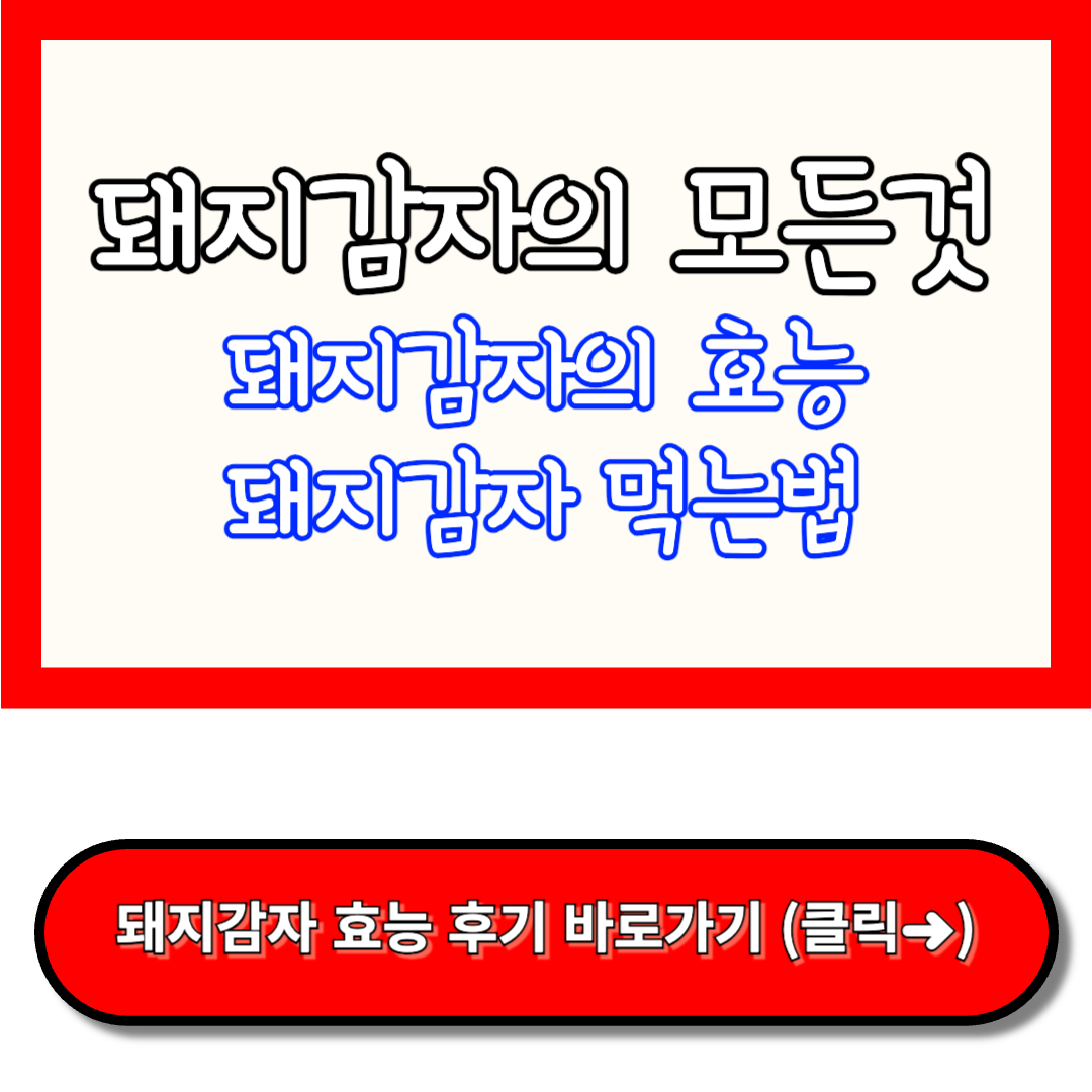 돼지감자차 효능, 돼지감자 먹는법, 돼지감자 효능 5가지