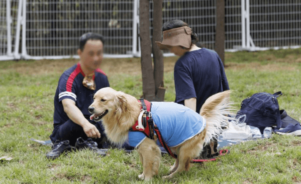 마포구 반려동물 캠핑장