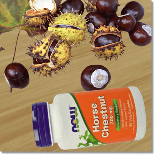 마로니에 열매와 추출물