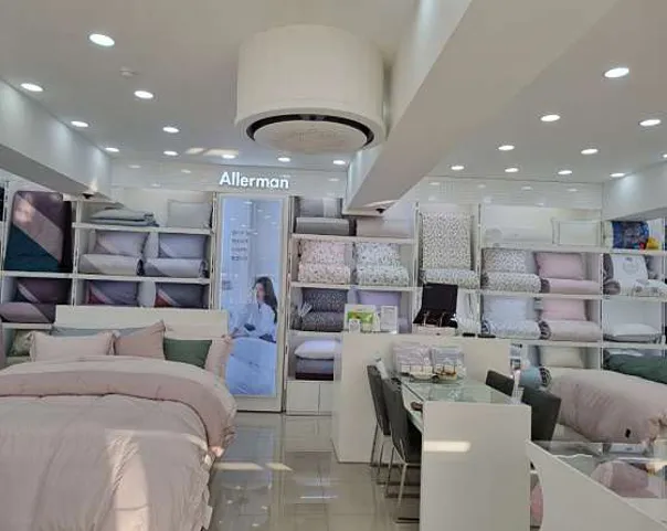 알레르망 삼척점