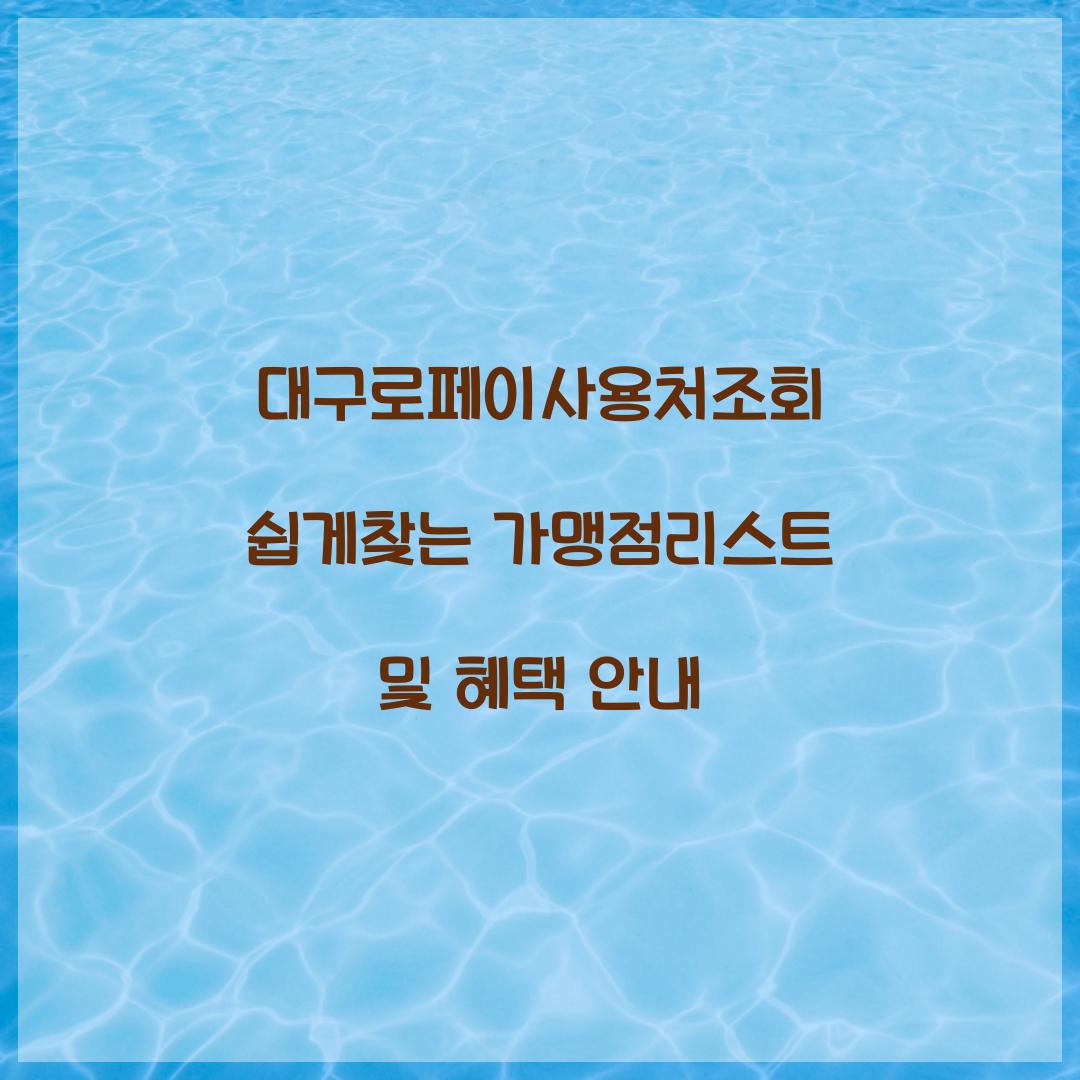 대구로페이사용처조회