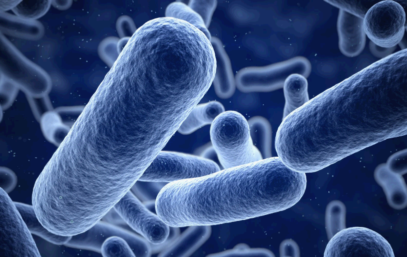 유익균을 늘리는 가장 확실한 방법