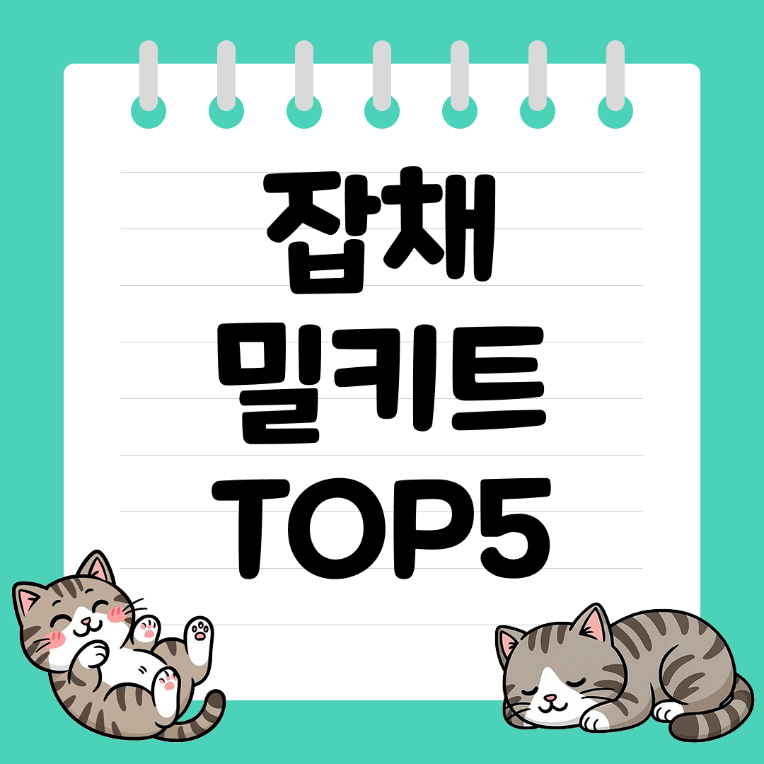 전자레인지 조리 가능한 초간단 잡채 밀키트 추천 순위 TOP5