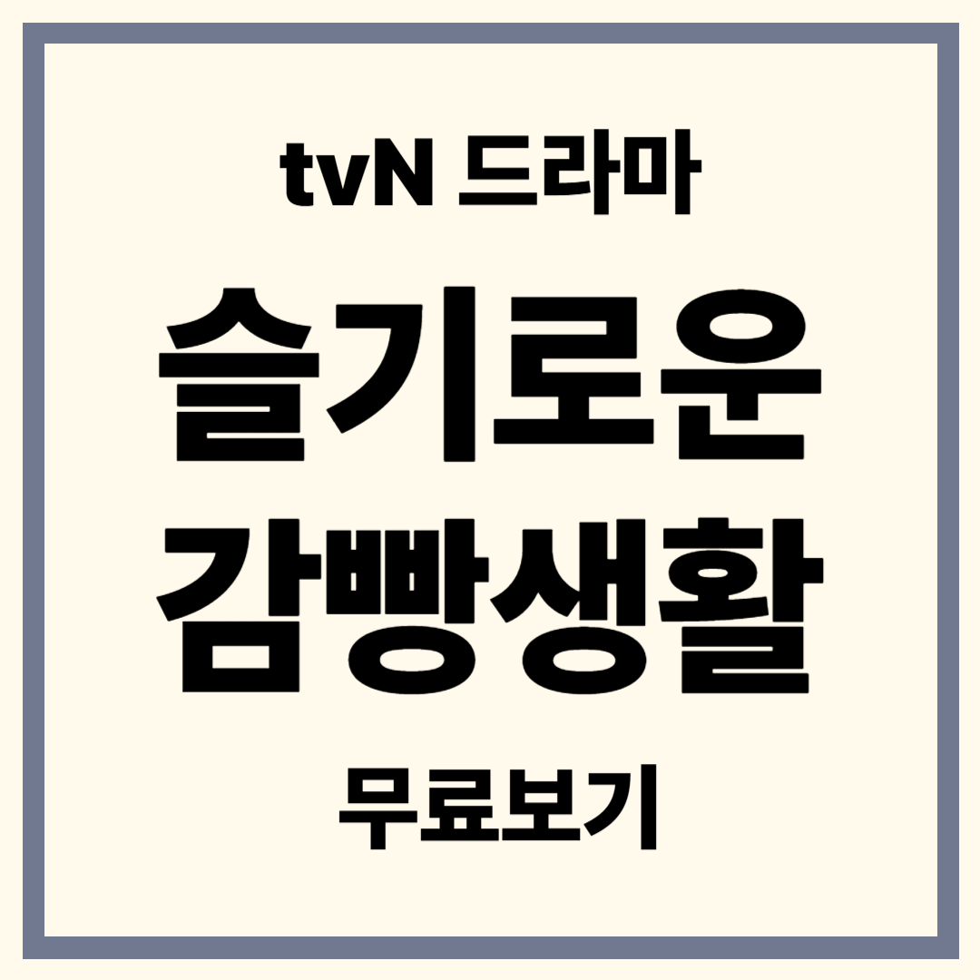 슬기로운 감빵생활 등장인물 줄거리 결말 시청자 후기 완전정리