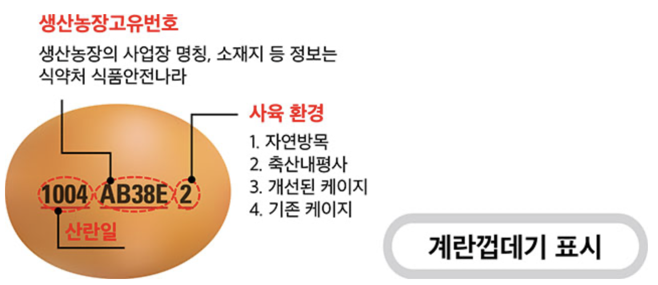 계란! 안전하게 관리하고 섭취하자! 신선하고 좋은 계란 구분방법 및 보관방법