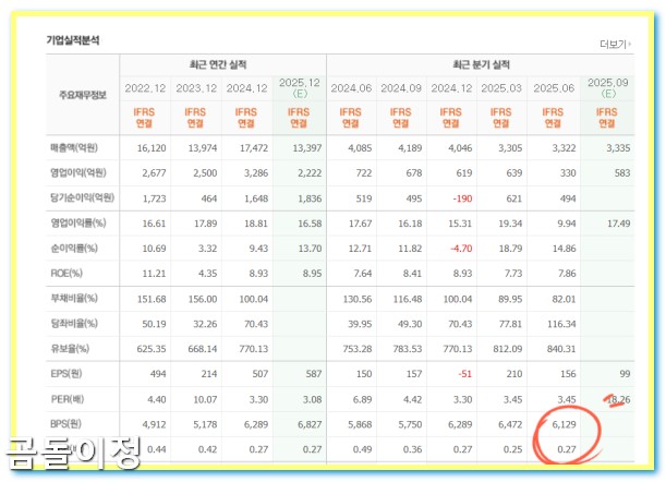 대한해운 저PBR 주식 지금 사야 할 리스크와 기회