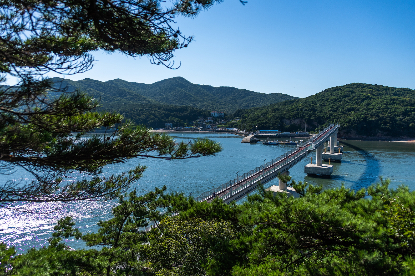 안산에 오르면 보이는 인도교입니다.