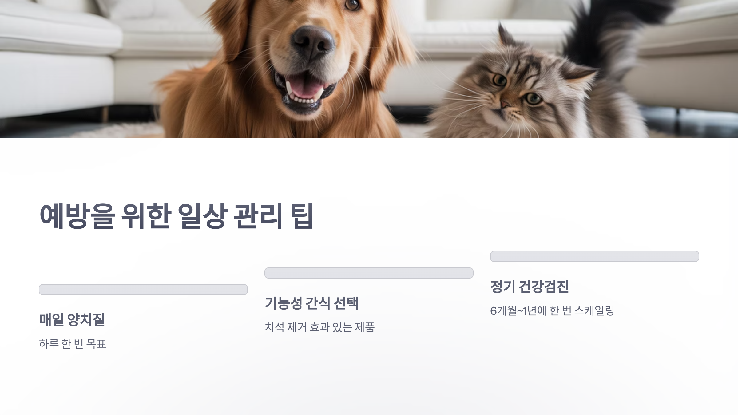 참조-반려동물-치석제거-5