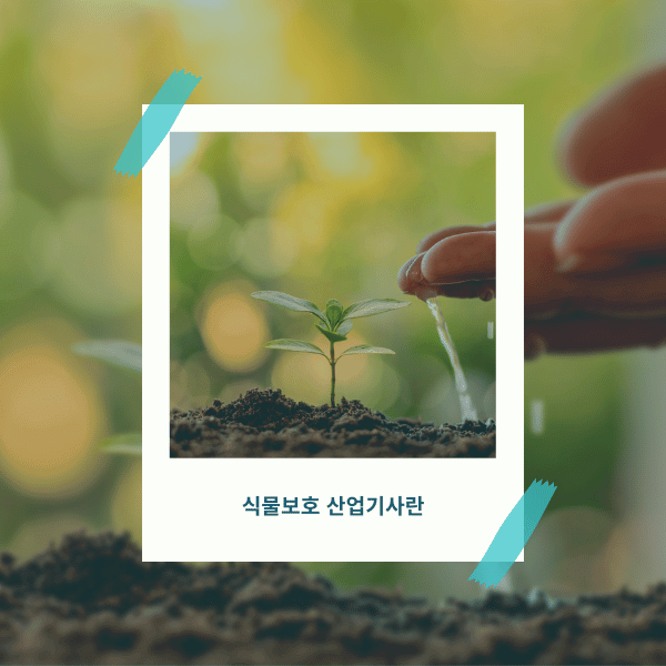 식물보호산업기사