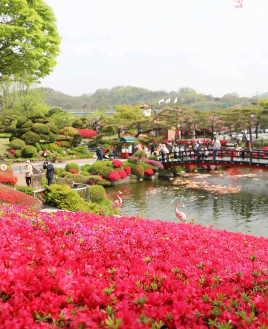 베어트리파크 철쭉제 봄과 철쭉